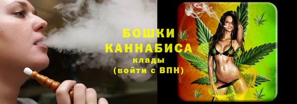 молекула духа Краснослободск