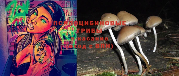альфа пвп Корсаков