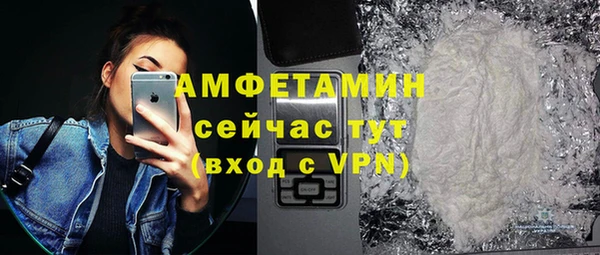 молекула духа Краснослободск