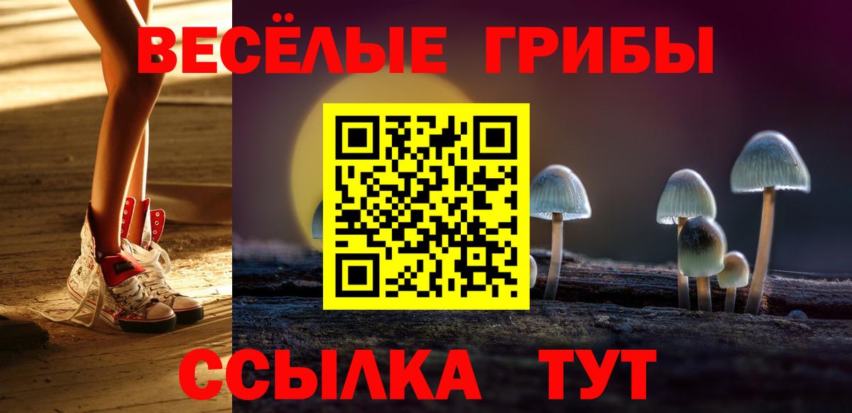 Псилоцибиновые грибы MAGIC MUSHROOMS Красноармейск