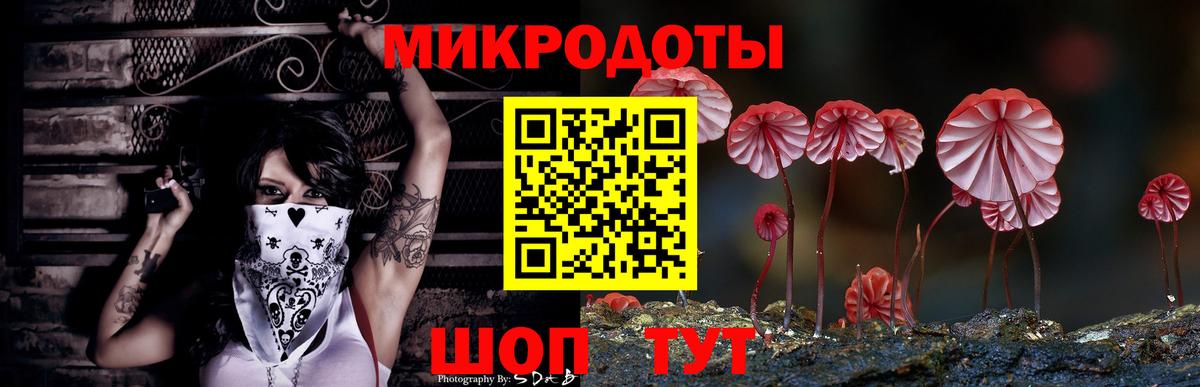 Красноармейск  Псилоцибиновые грибы мухоморы  Вход с VPN 